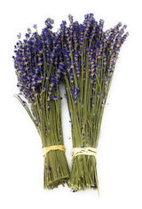 Royal Velvet Dried Lavender Bundles