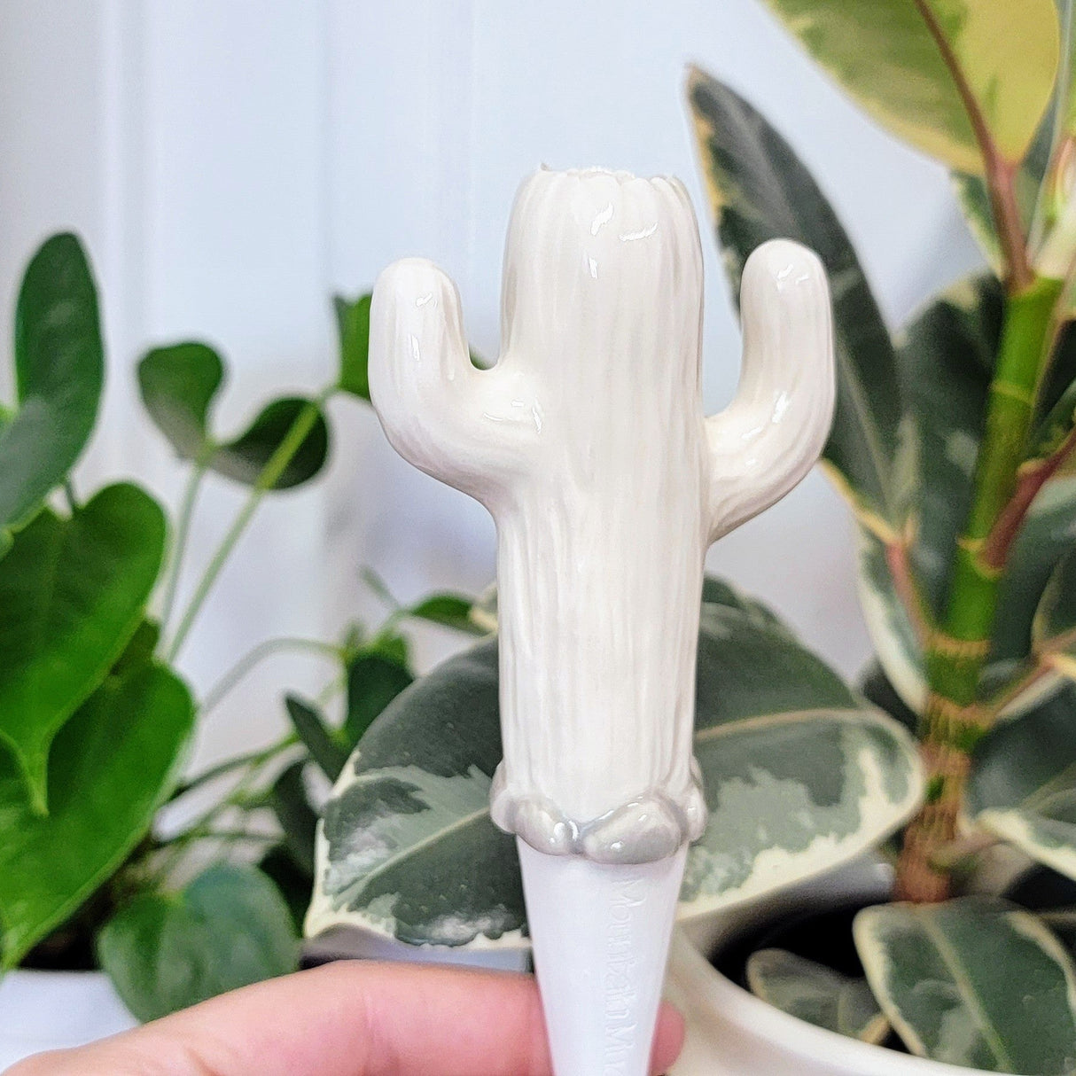 Cactus Watering Spike