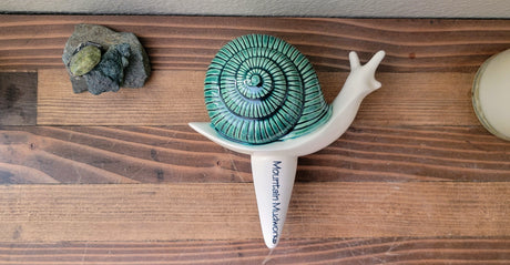 Snail Watering Spike