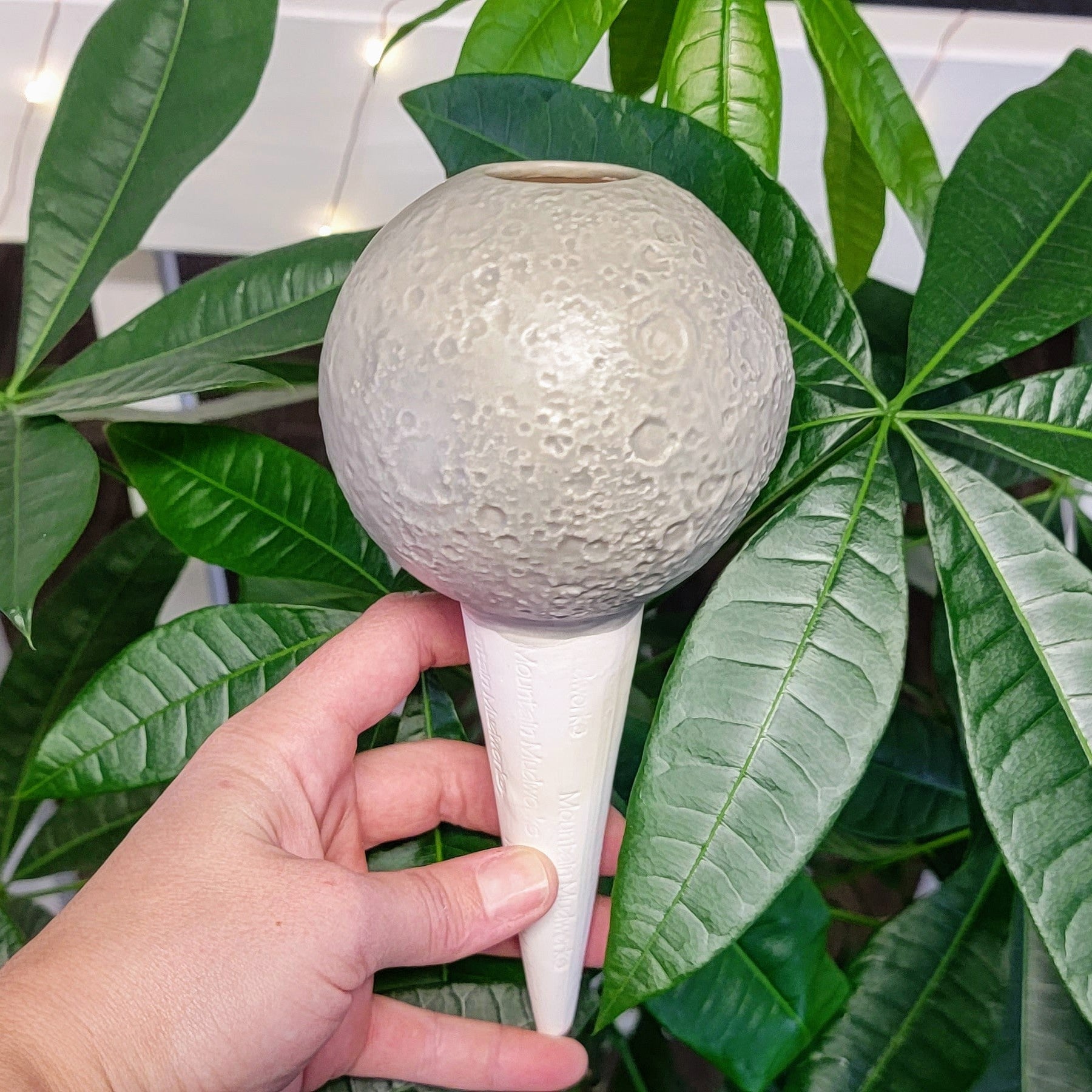 Moon Plant Watering Spike – Plow & Hearth