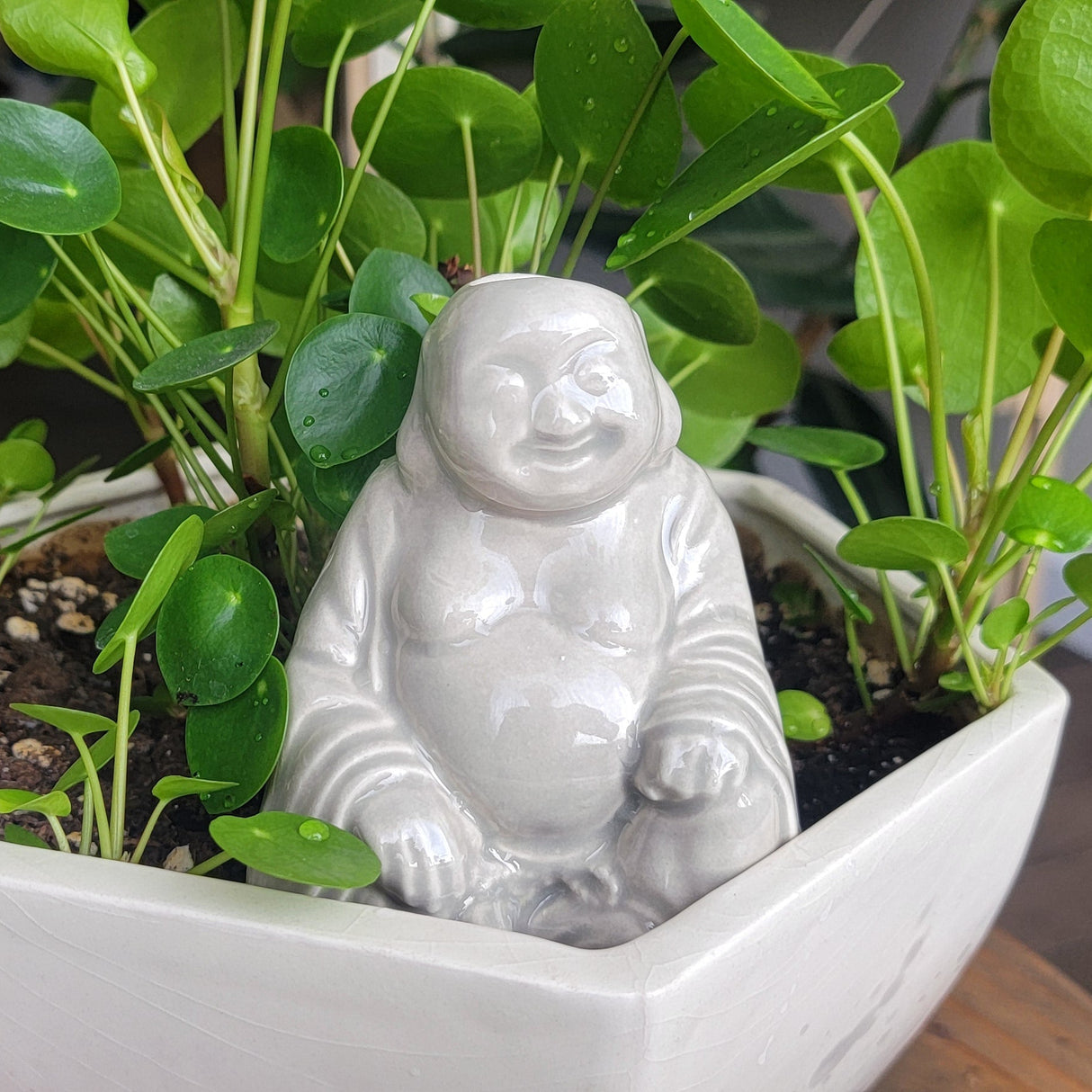 Buddha Watering Spike