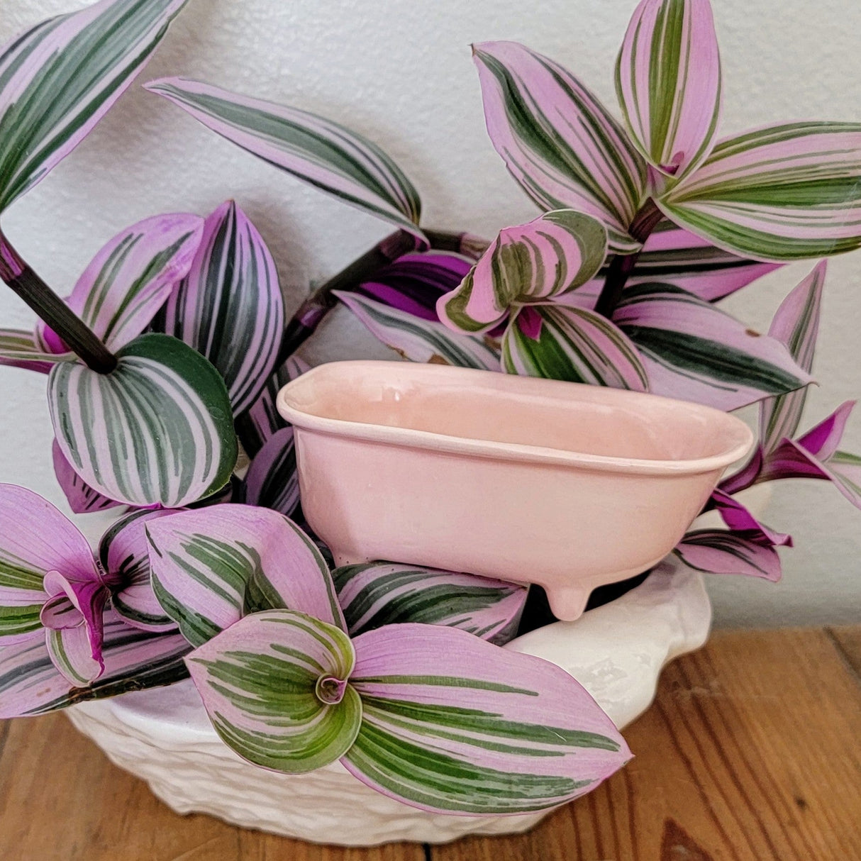 Bathtub Watering Spike