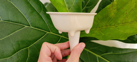 Bathtub Watering Spike