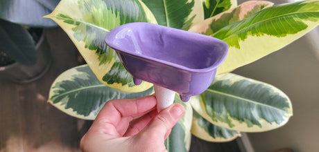 Bathtub Watering Spike