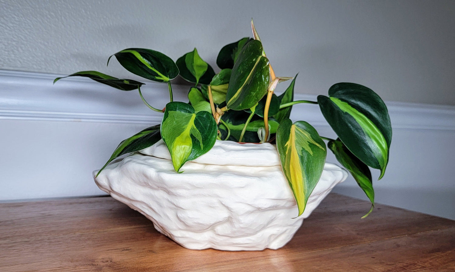 african violet planter pot Large Natural Stone Self Watering / African Violet Pot Magic Copper