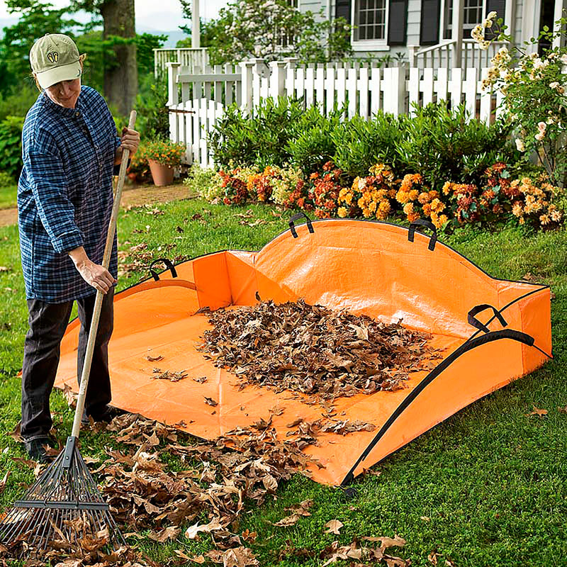 Outdoor Cleanup