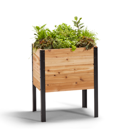 Cedar Raised Garden Bed, 18″W x 24″L