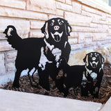 Golden Retriever - Standing