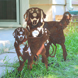 Golden Retriever - Standing