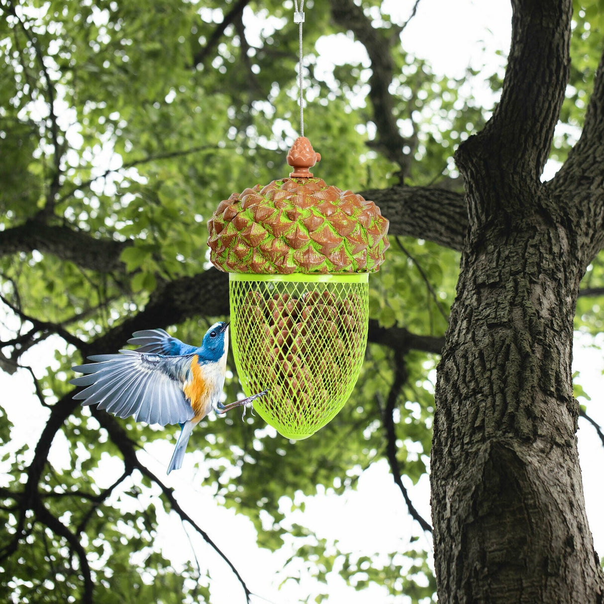 Metal Acorn Wild Bird Feeder