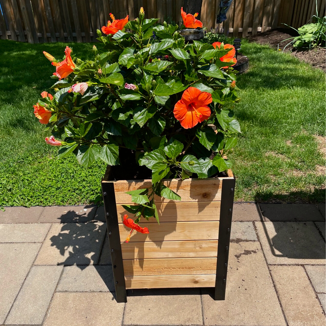 Cedar Planter Box, 18″W x 18″L