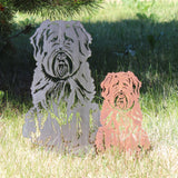 Soft Coated Wheaten Terrier