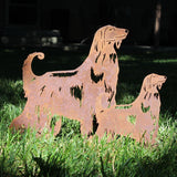 Afghan Hound
