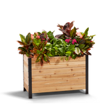 Rectangle Cedar Planter Box