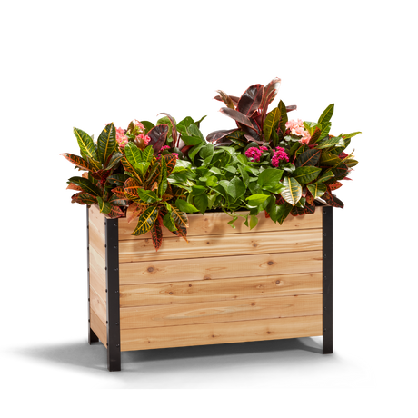 Rectangle Cedar Planter Box