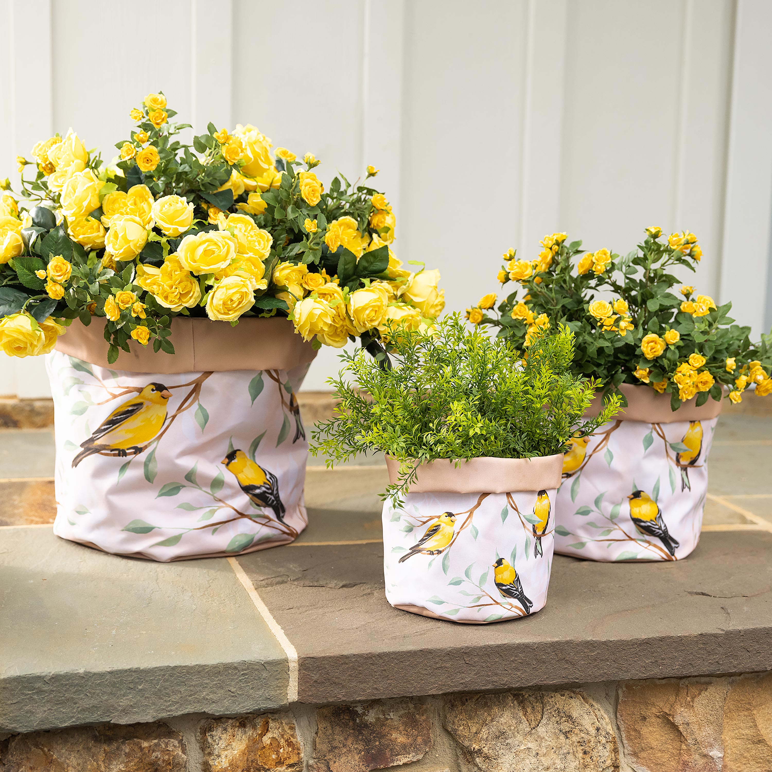 Lined Canvas Planters with Bird Designs, Set of 3 – Plow