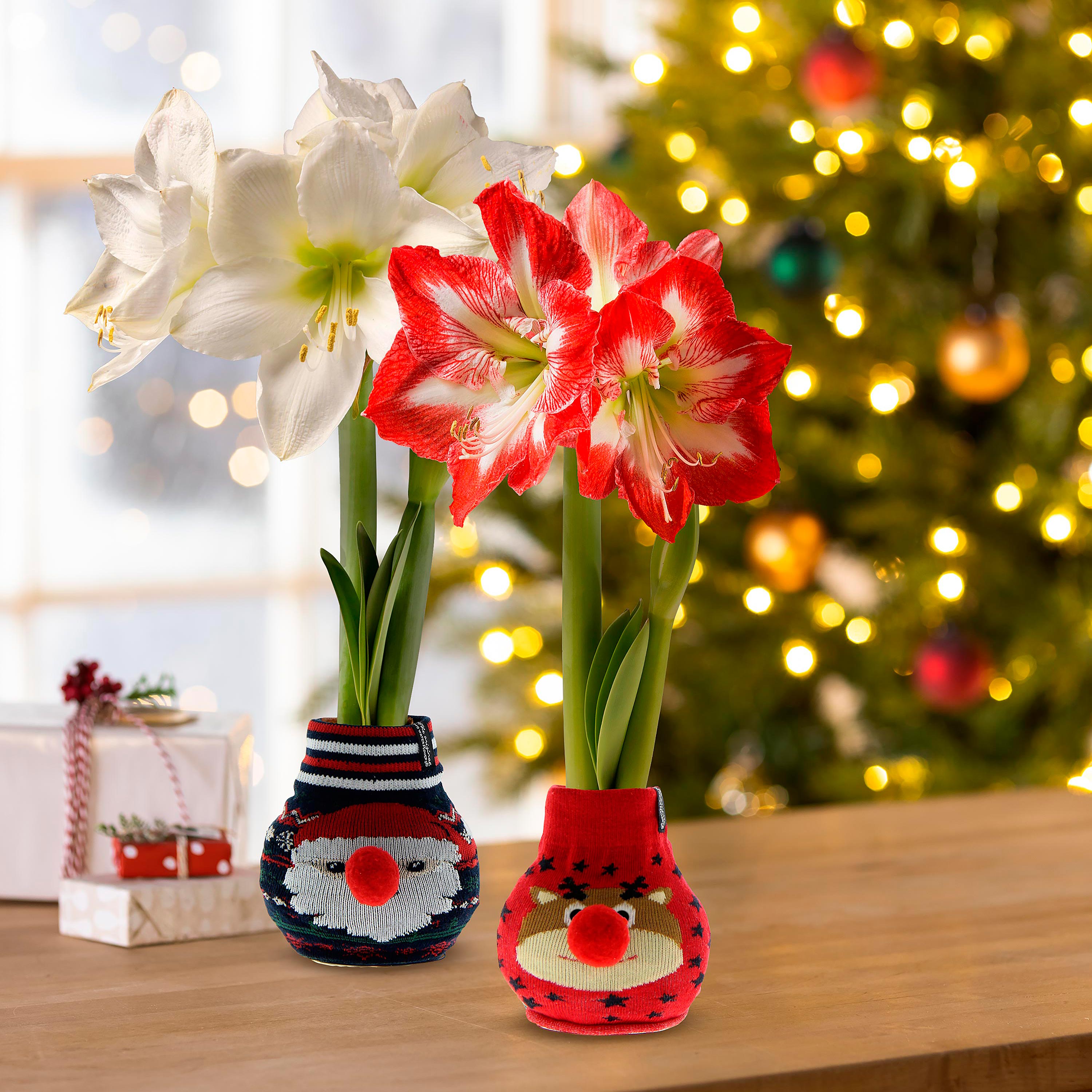 【送料込】Ameri SIDE STRAP FLOWER KNIT CAP 送料込】Ameri SIDE STRAP FLOWER KNIT CAP