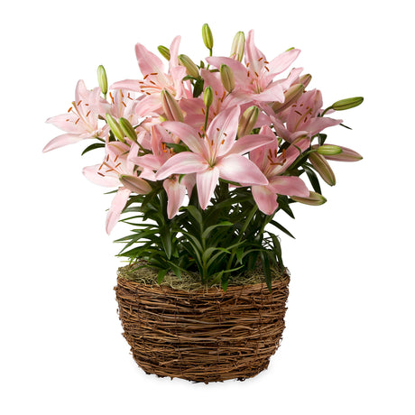 3909_9f58356f-1f54-443a-8a8f-dc16db6abaaa