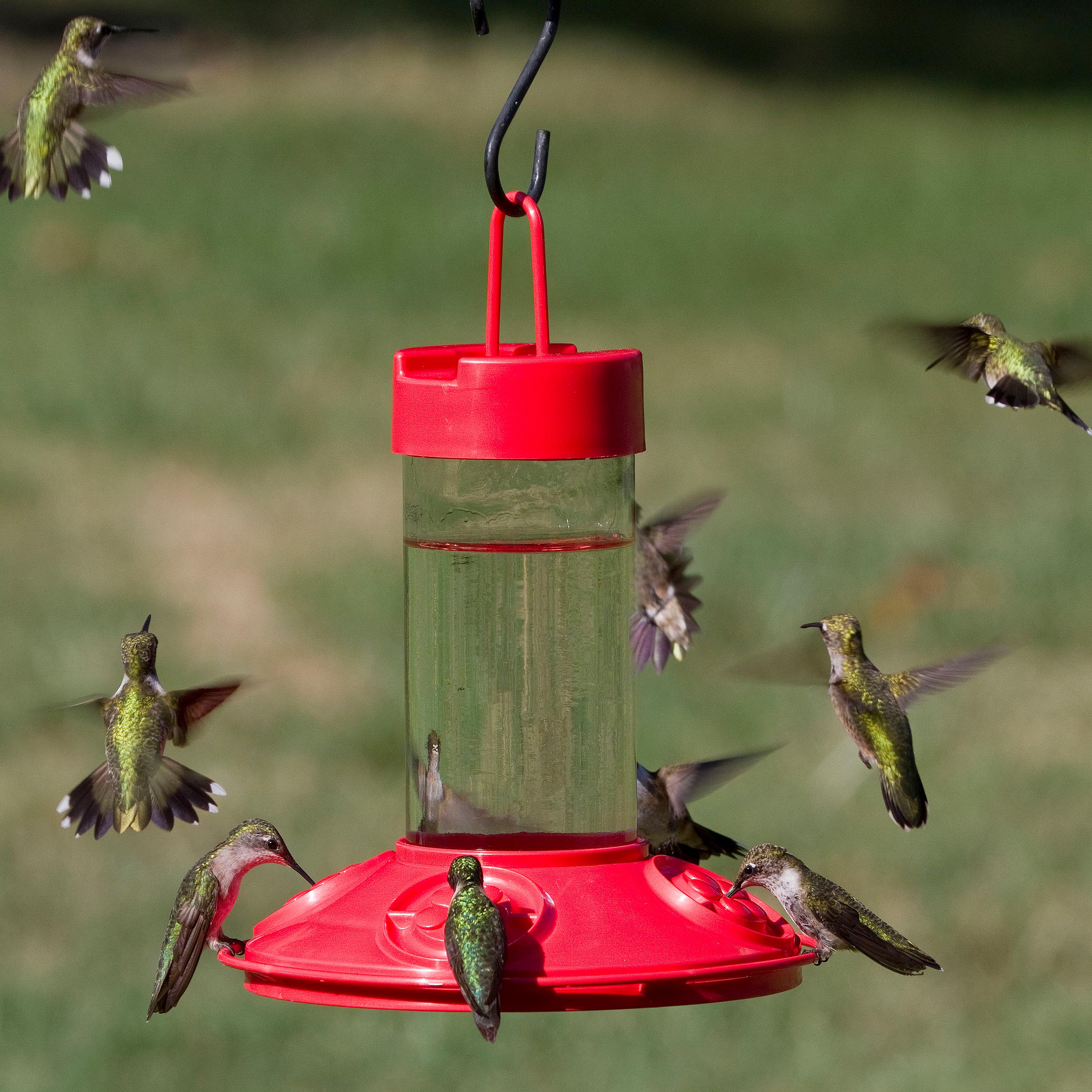 3909_3176851c-4c8a-4f16-a43d-