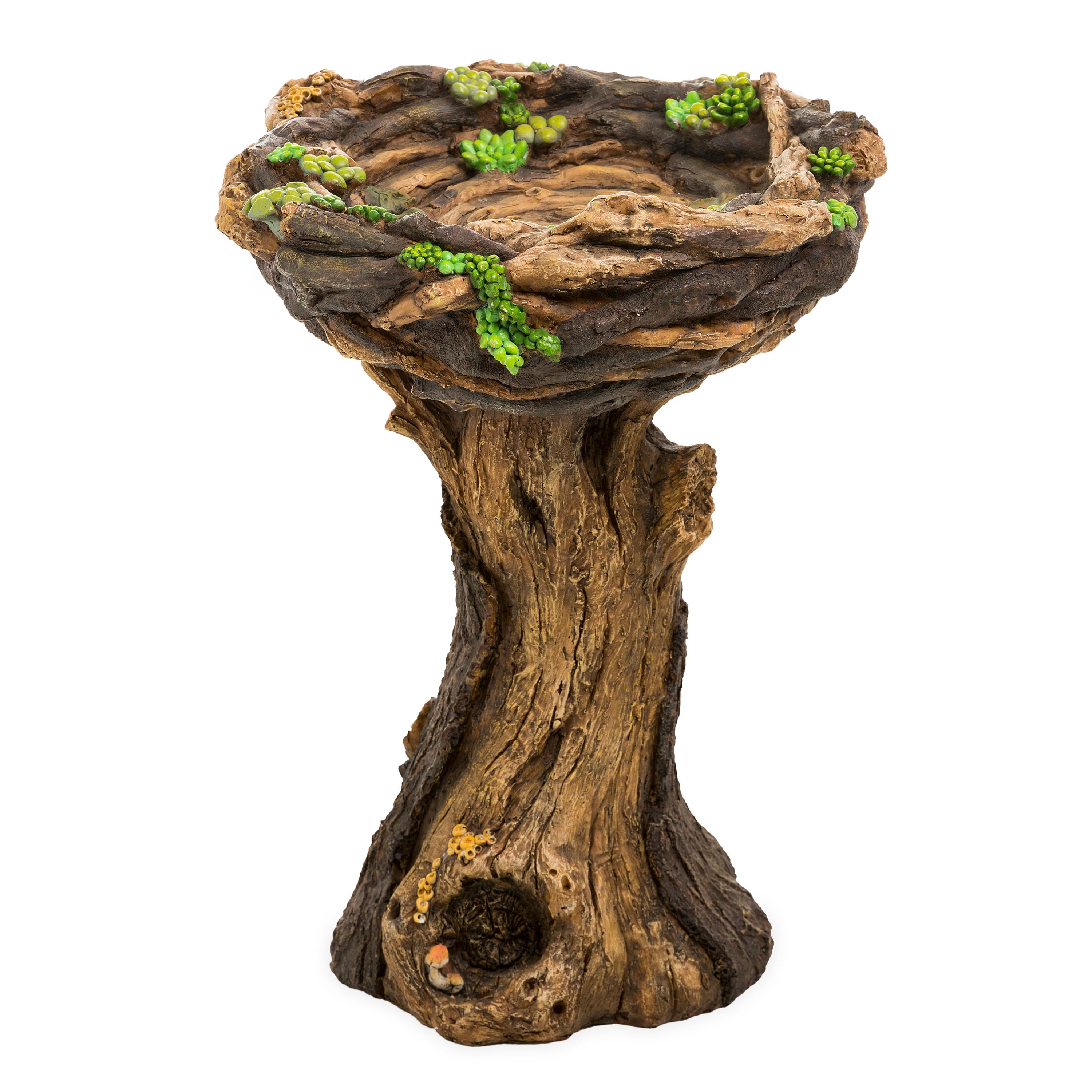 Succulent Bird Nest Tree Stump Birdbath – Plow & Hearth