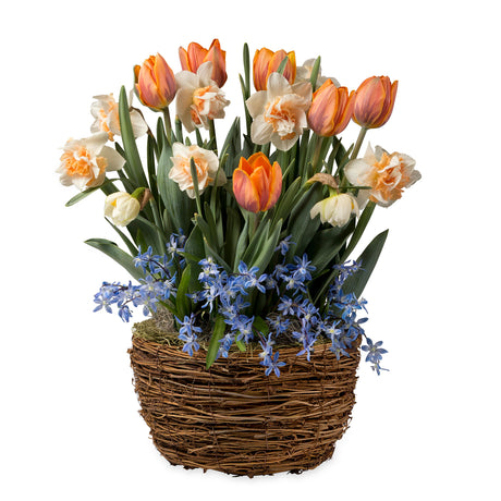 3909_fbc7b9f2-79c5-4f96-b8b8-697326cd2abb