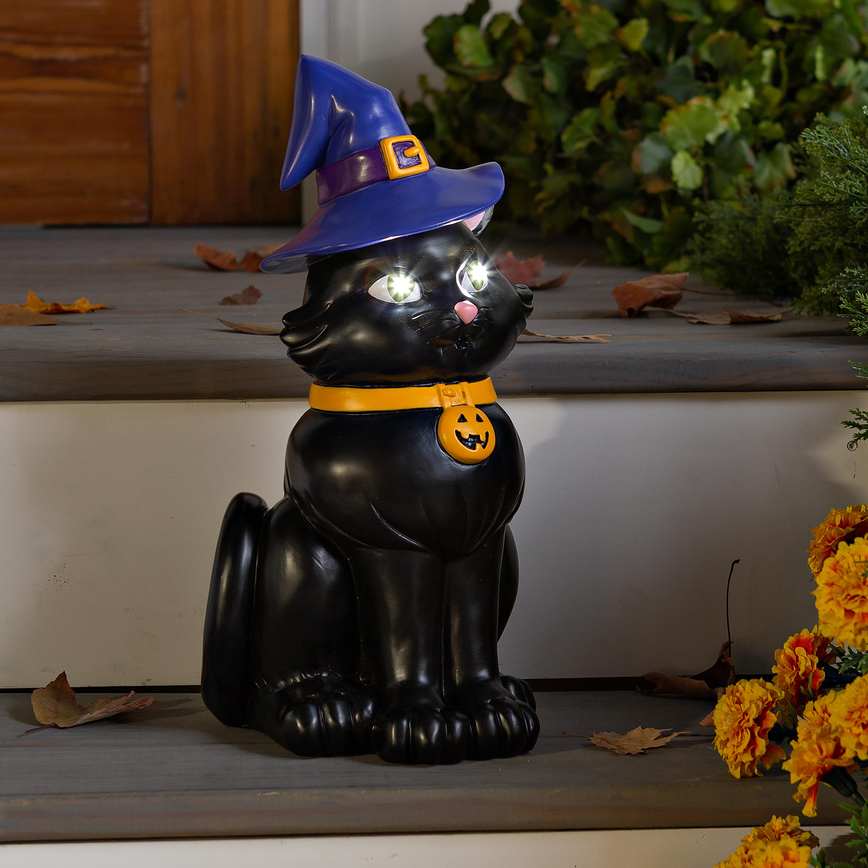 Indoor/Outdoor Lighted Black Cat Shorty Halloween Statue – Plow