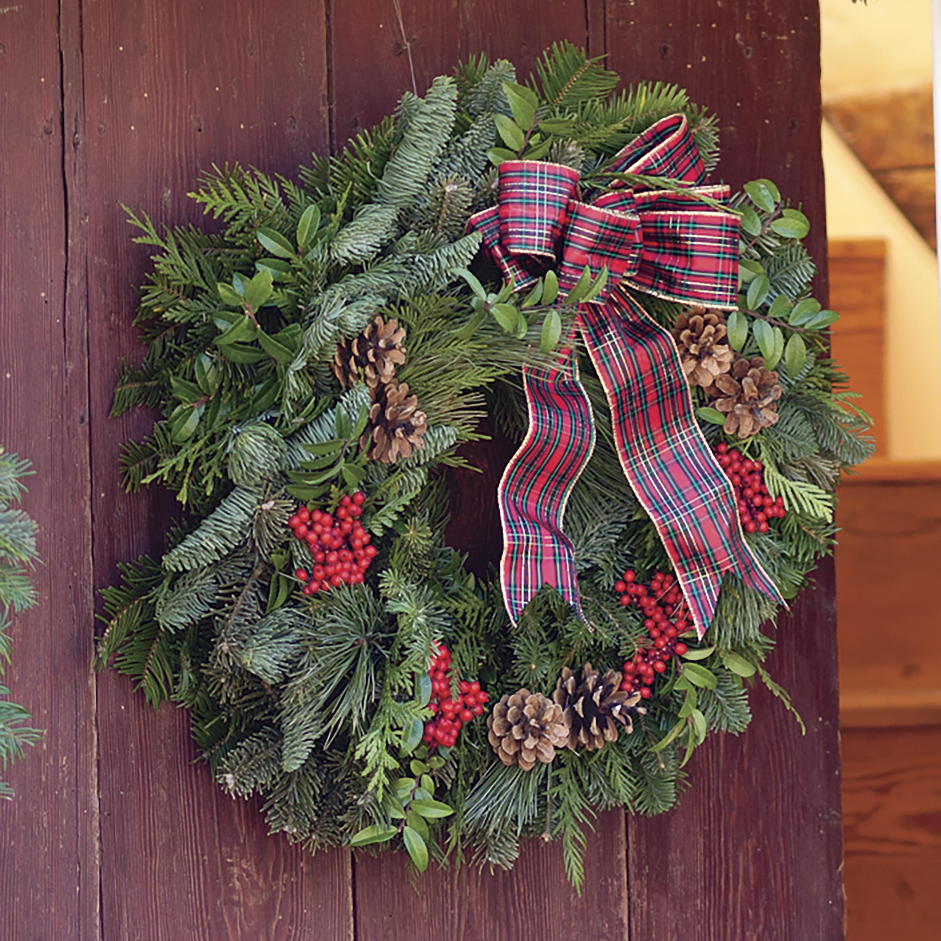 Holiday Woodland Evergreens 24