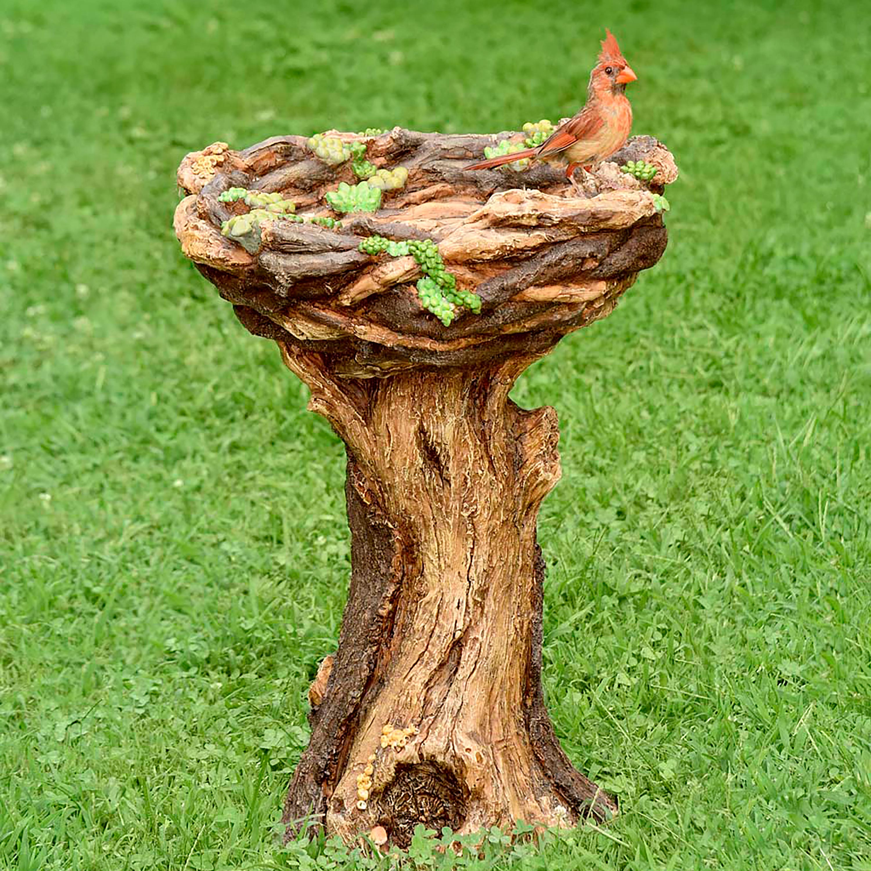 Succulent Bird Nest Tree Stump Birdbath – Plow & Hearth