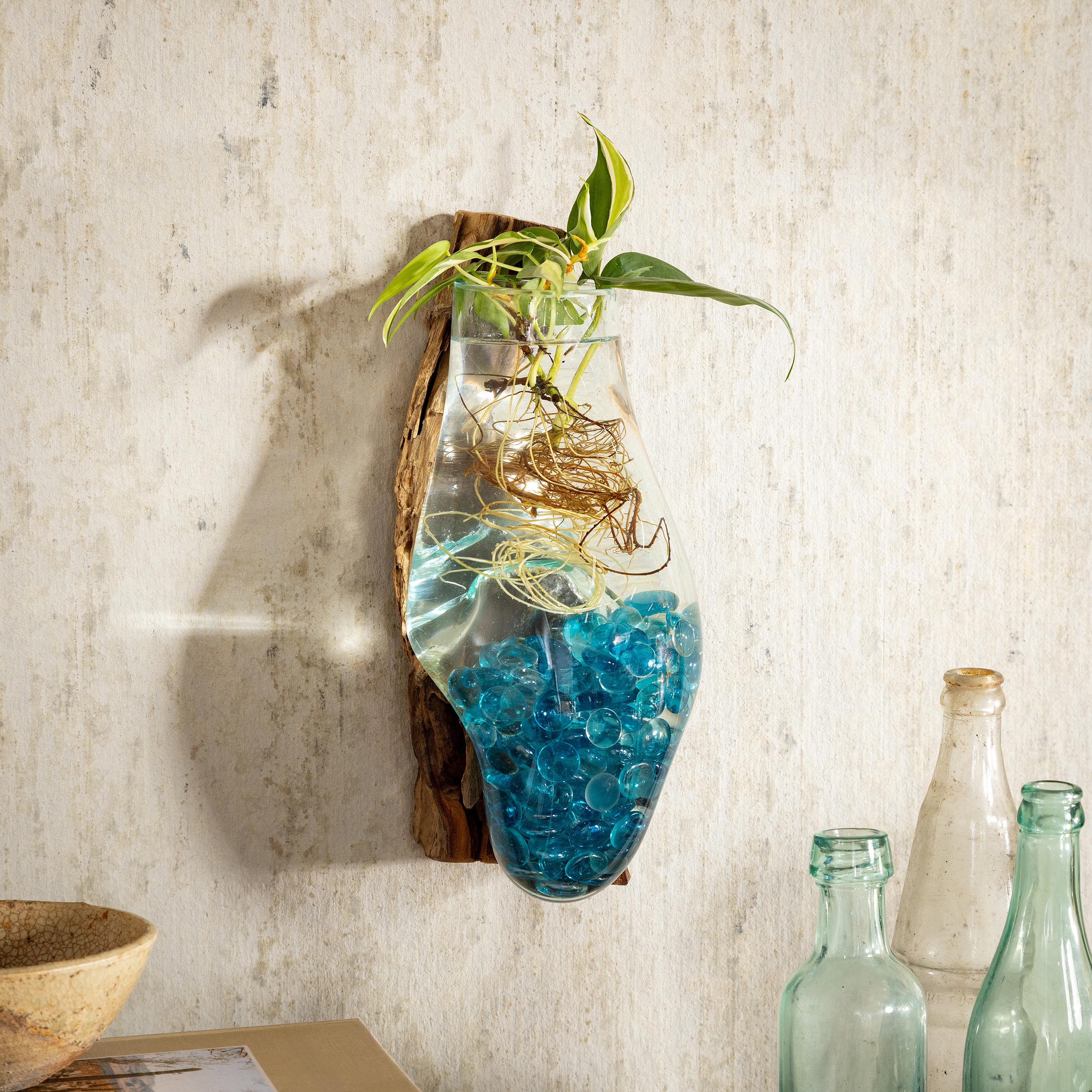 Wall Mounted Glass Planter on Driftwood - Thumbnail 2