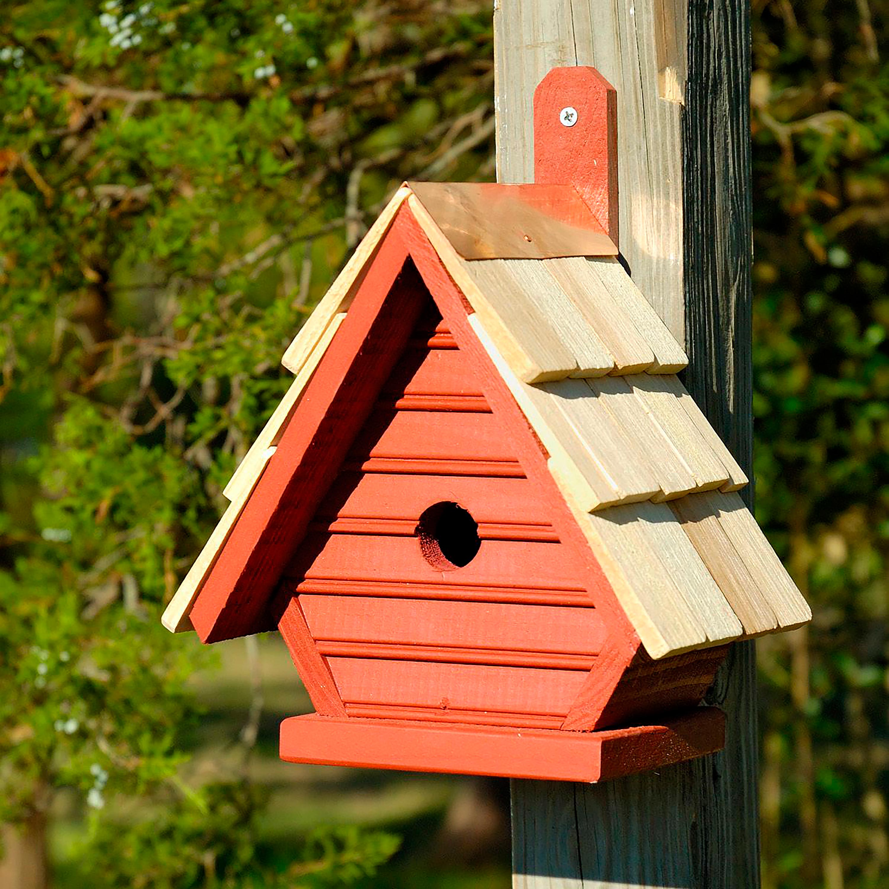 Evergreen Birdhouse - Thumbnail 2