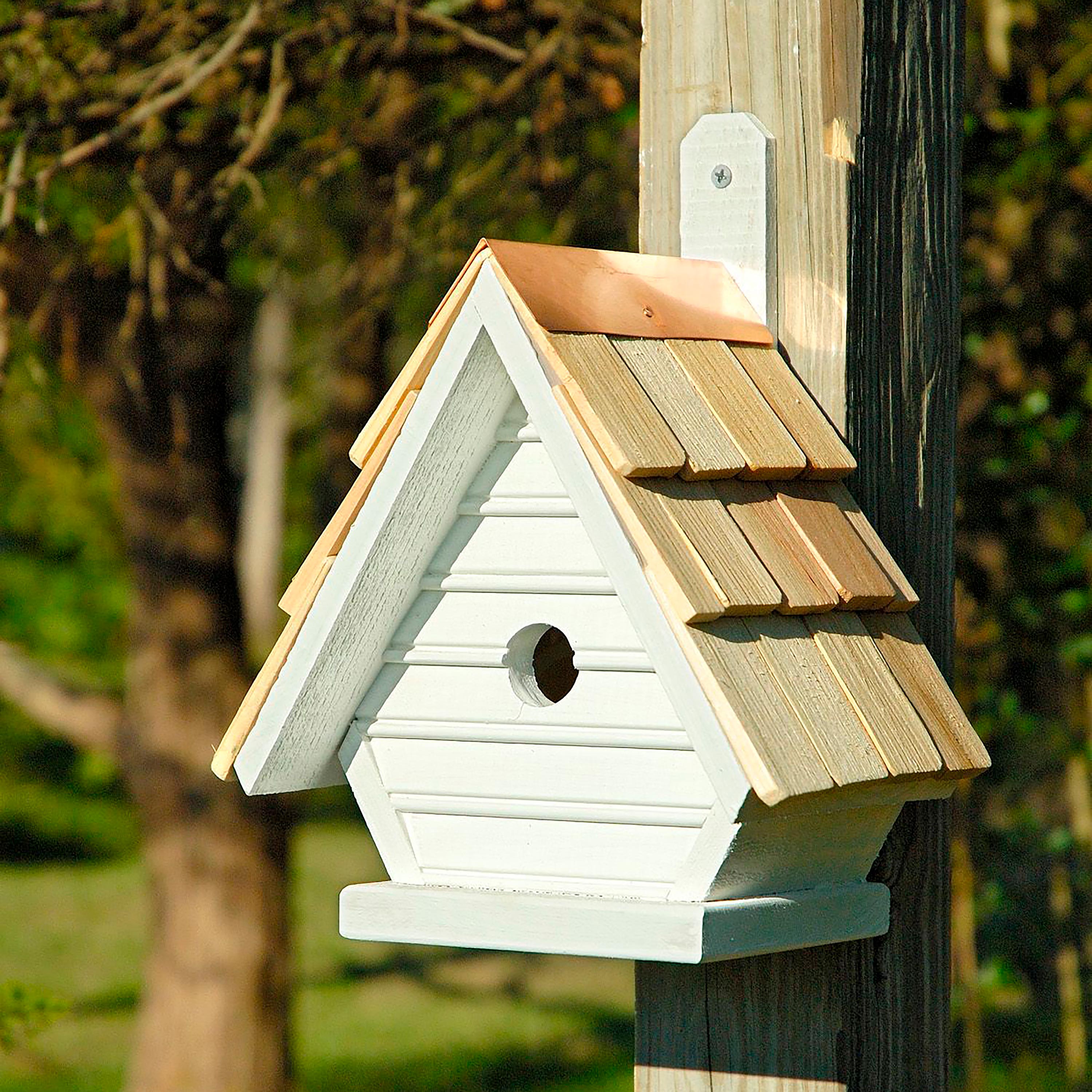 Evergreen Birdhouse - Thumbnail 4