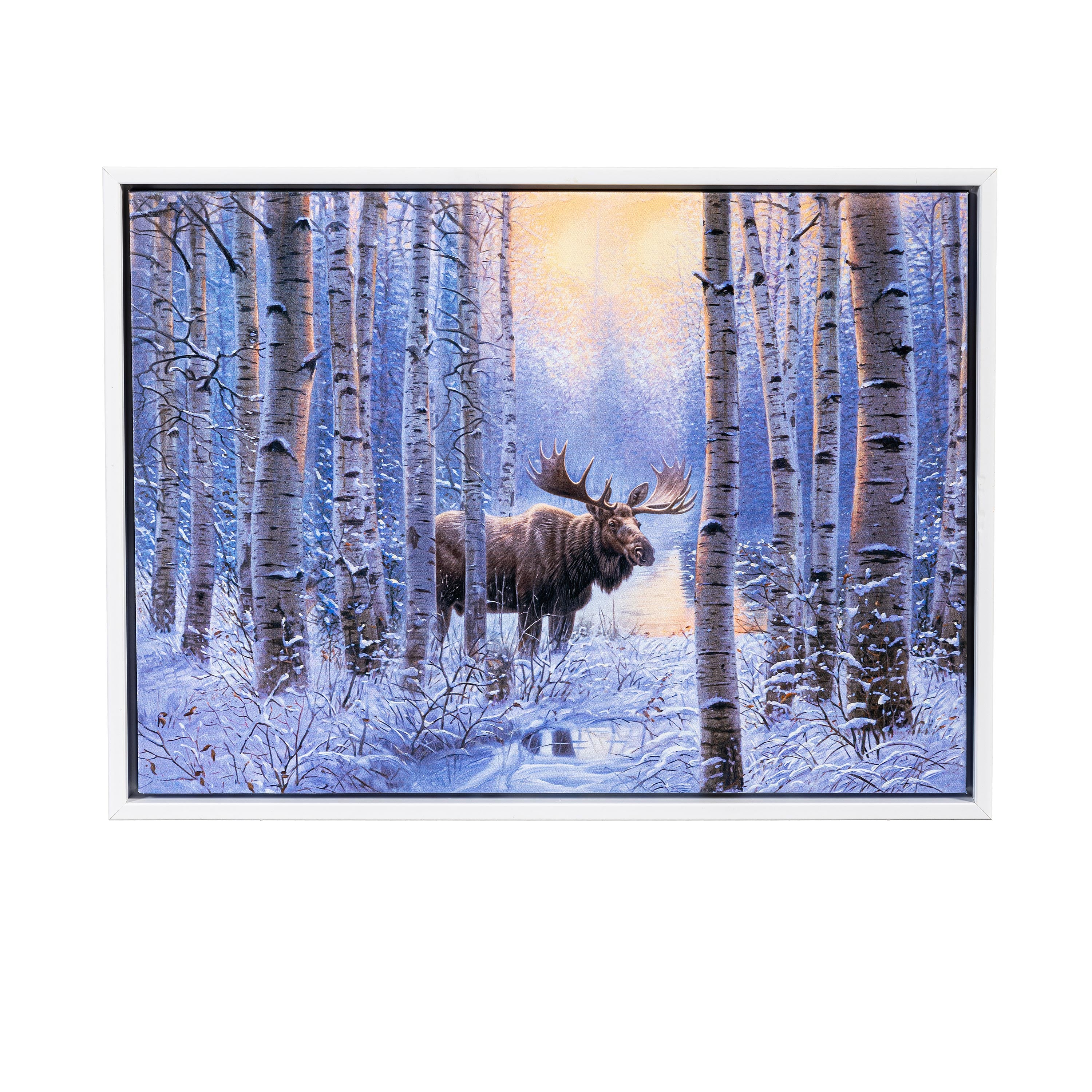 Woodland Storybook Indoor Wall Decor, LED Canvas with White Frame
