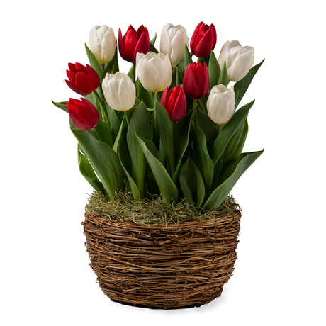 https://asset.productmarketingcloud.com/api/assetstorage/3909_91b531e3-d22b-44cc-8636-a9cbaeec4afd