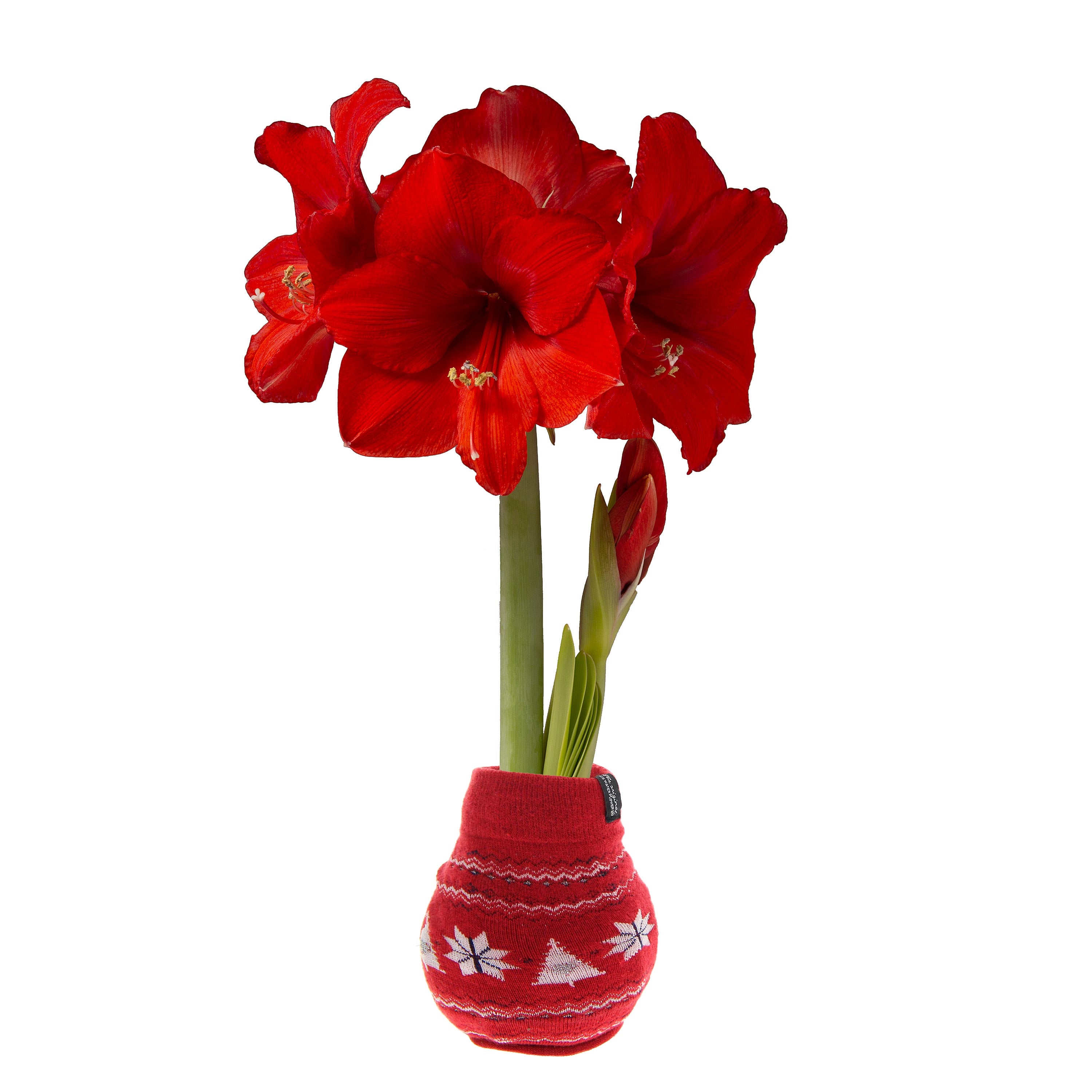 3909_9fafcb91-33fb-40af-8b67-