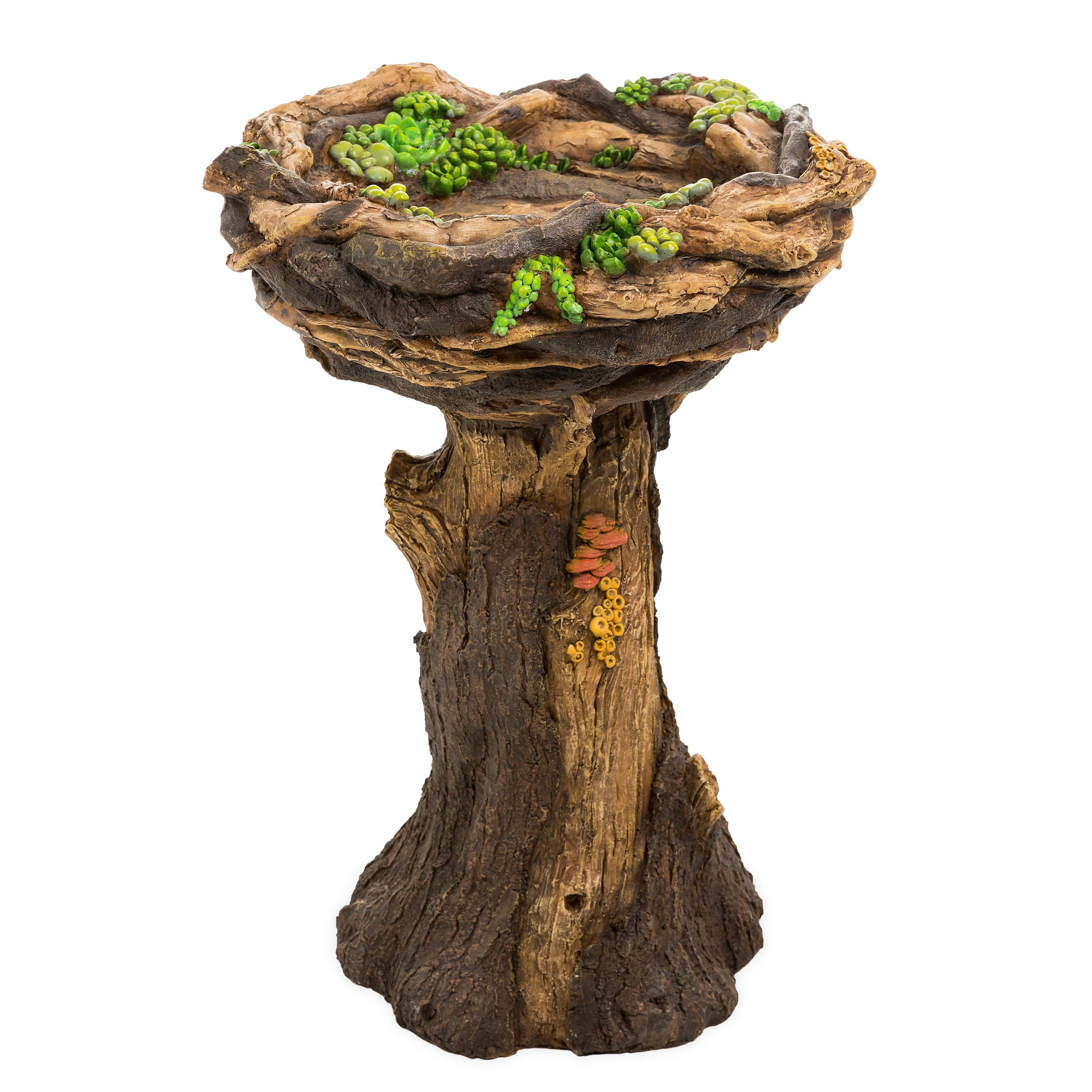 Succulent Bird Nest Tree Stump Birdbath – Plow & Hearth
