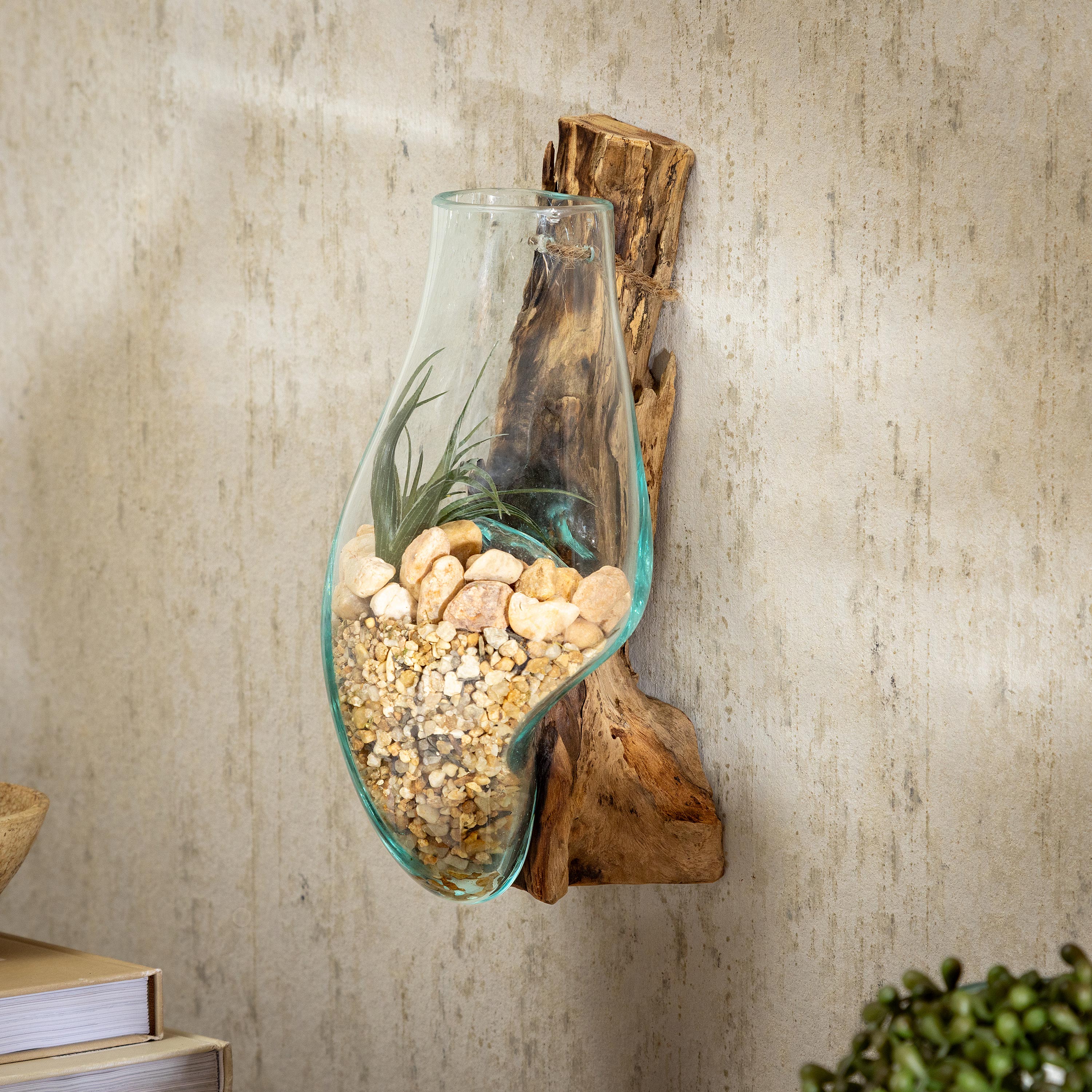 Wall Mounted Glass Planter on Driftwood - Thumbnail 3