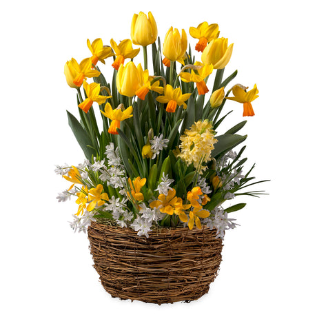 3909_473c23c9-5ded-4a67-88ec-0ba9269dd2f2