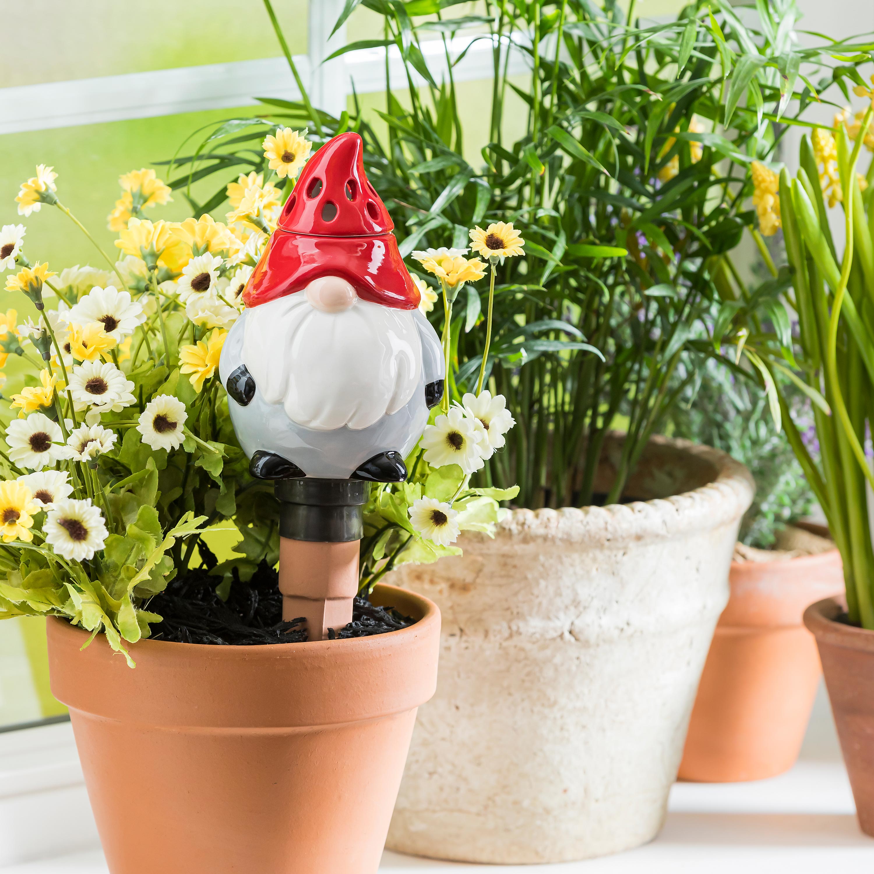 Whimsical Ceramic Fruit Fly/Gnat Trap with Watering Globe – Plow