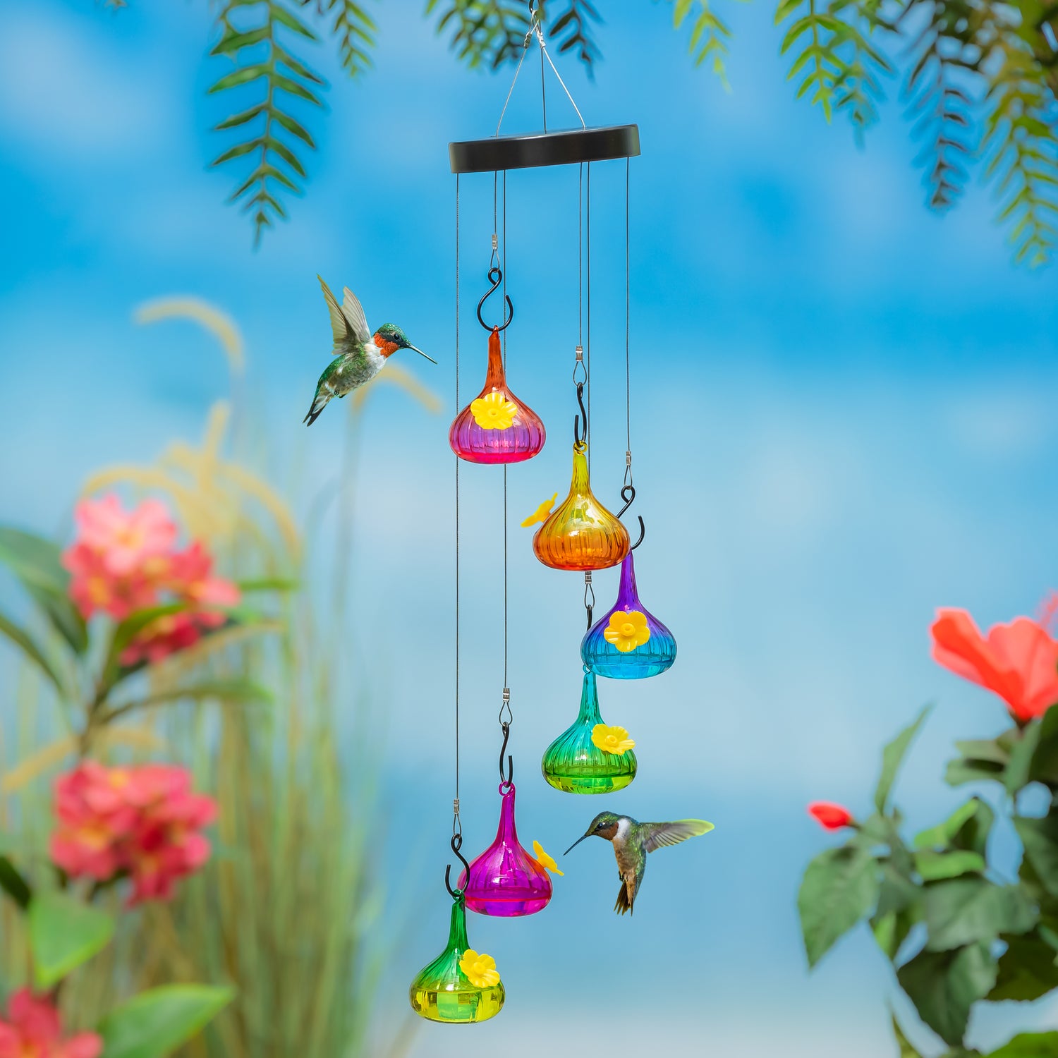 hanging plant hummingbird feeder Palm Beach Bird Feeder, Glass Ombre Hanging Hummingbird Feeder
