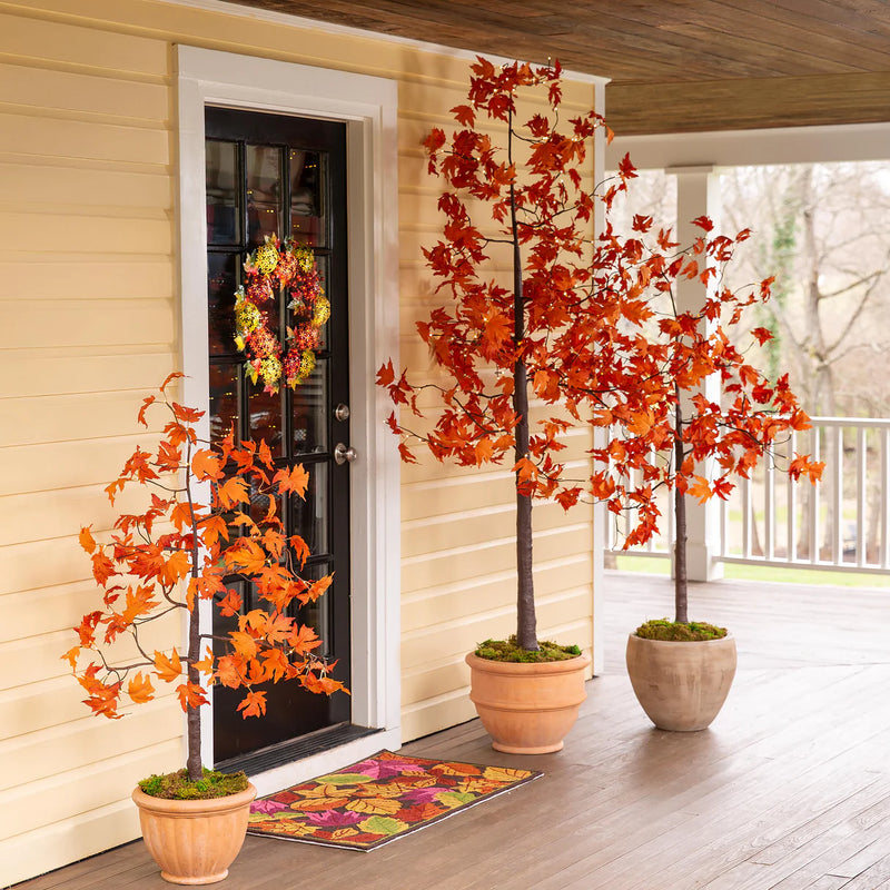 Decorative potted trees with autumn leaves on a porch