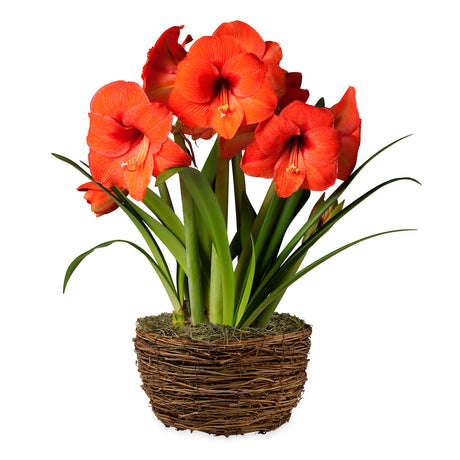 3909_f1d08036-d561-434d-98fa-b636effc4017