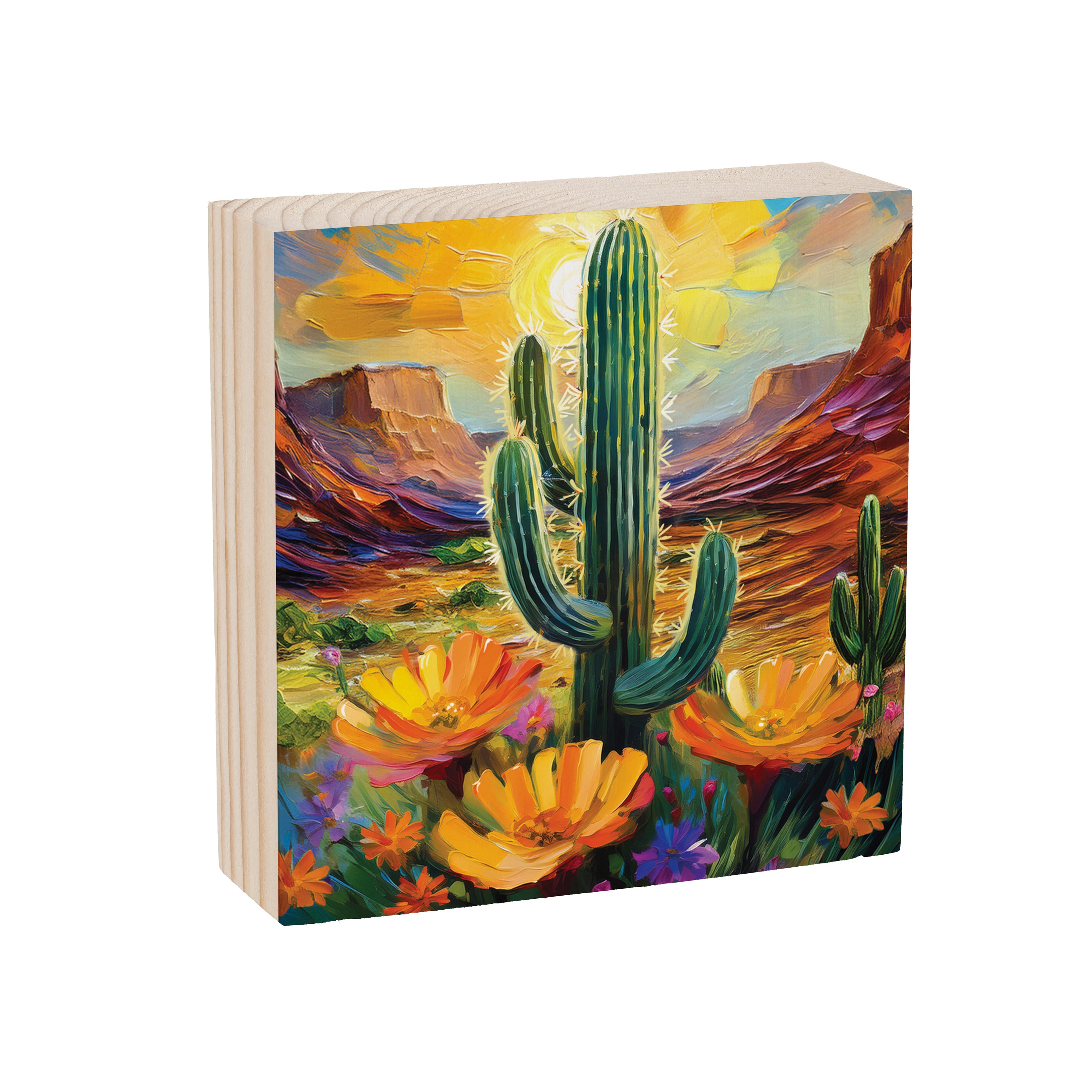 Southwest/Texas Everyday Mini Plock (6