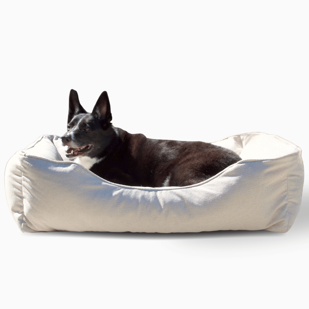 The Sammy Bolster Dog Bed