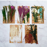 Dried Bouquet Kit