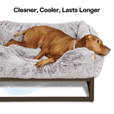 The FÜZI Elevated Dog Bed
