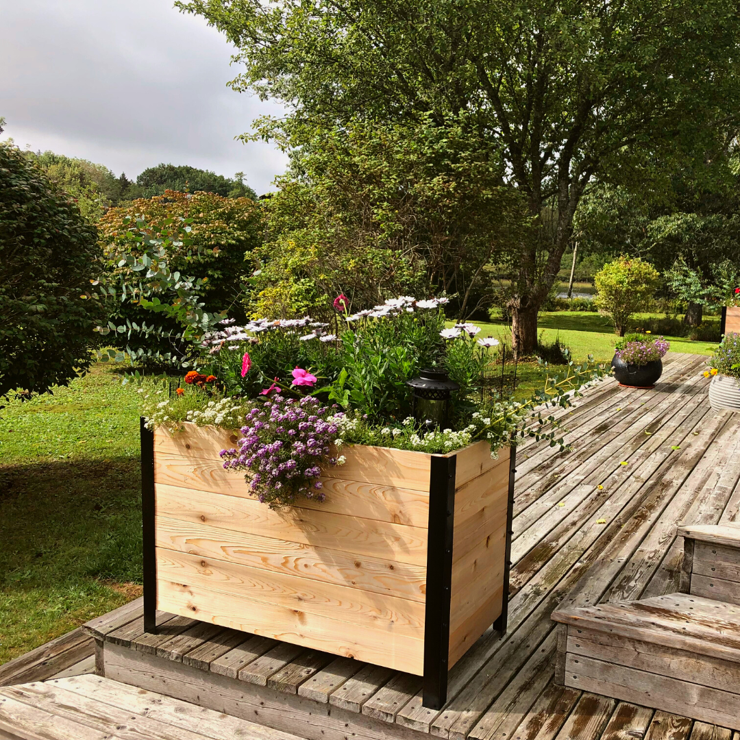 Rectangle Cedar Planter Box