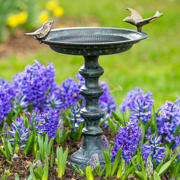 Patio & Garden
