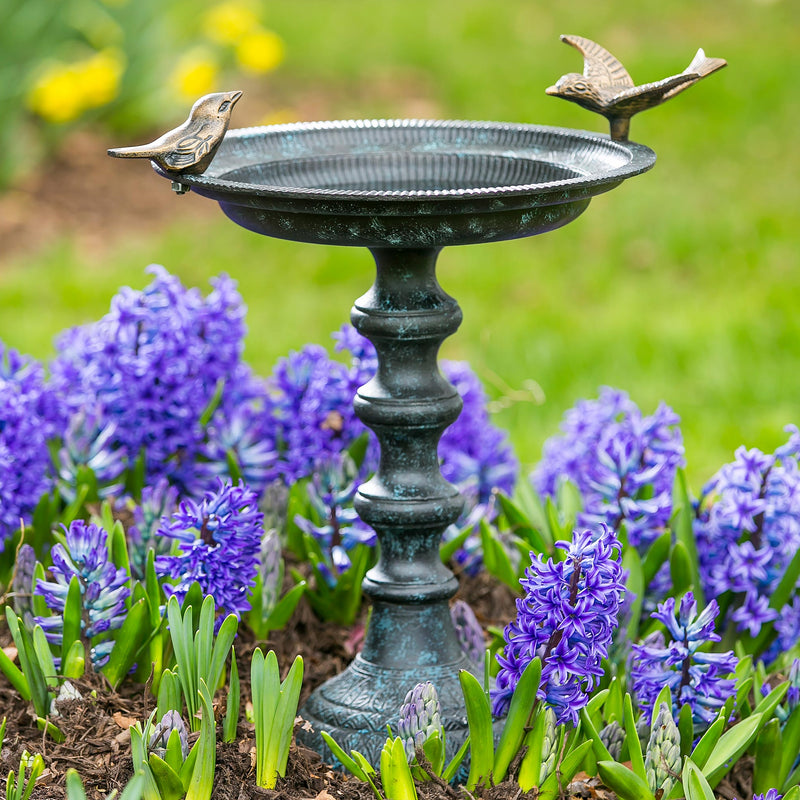 Patio & Garden