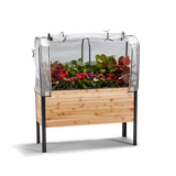 Greenhouse Cover