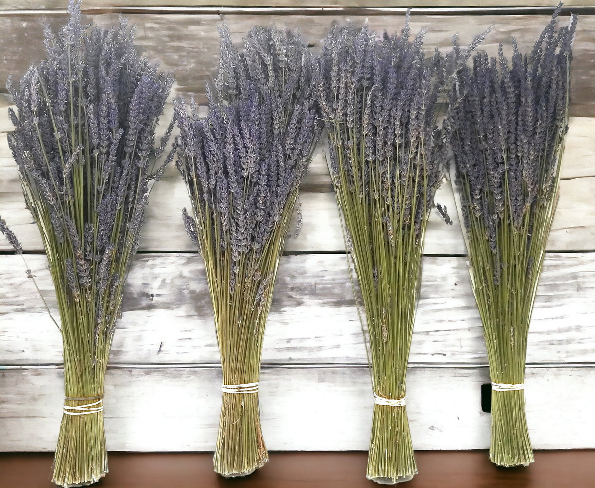 Dried Lavender Bundles